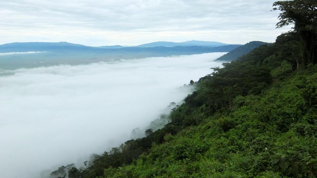 Компания Landata покорила высочайшую точку Африки - Килиманджаро!