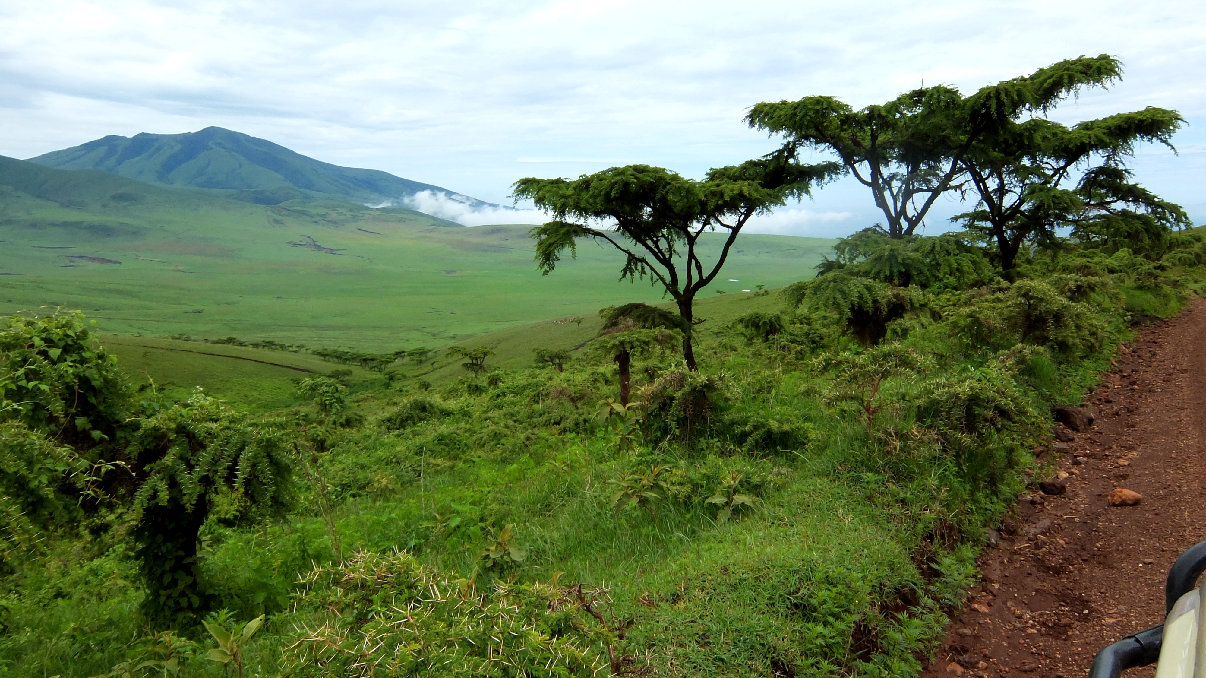 Компания Landata покорила высочайшую точку Африки - Килиманджаро!
