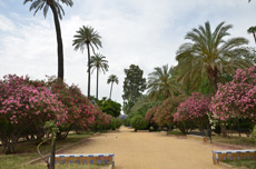 Компания Landata провела ВИП-тур по Испании