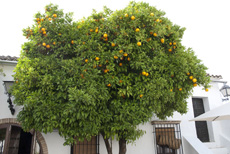 Компания Landata провела ВИП-тур по Испании