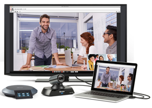 ICON FLEX_SYSTEM_Phone.jpg